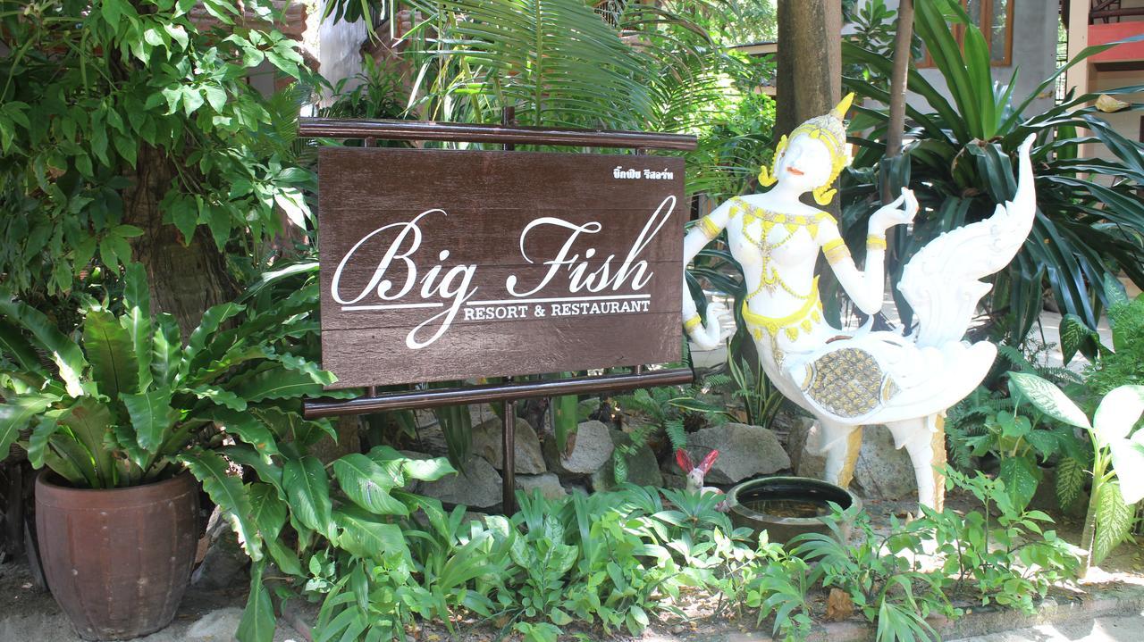 Big Fish Resort Koh Tao Exterior photo